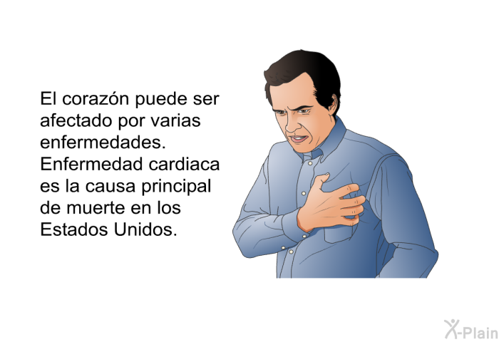 El corazn puede ser afectado por varias enfermedades. Enfermedad cardiaca es la causa principal de muerte en los Estados Unidos.