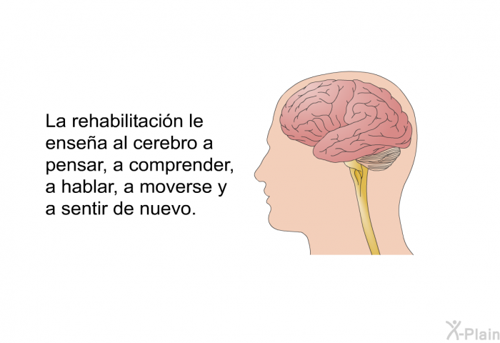 La rehabilitacin le ensea al cerebro a pensar, a comprender, a hablar, a moverse y a sentir de nuevo.