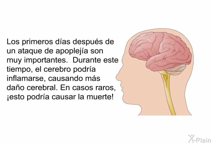 Los primeros das despus de un ataque de apopleja son muy importantes. Durante este tiempo, el cerebro podra inflamarse, causando ms dao cerebral. En casos raros, ¡esto podra causar la muerte!