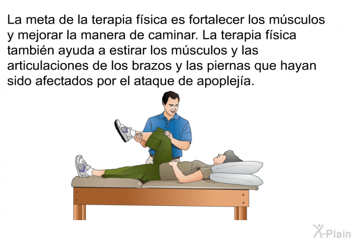 La meta de la terapia fsica es fortalecer los msculos y mejorar la manera de caminar. La terapia fsica tambin ayuda a estirar los msculos y las articulaciones de los brazos y las piernas que hayan sido afectados por el ataque de apopleja.