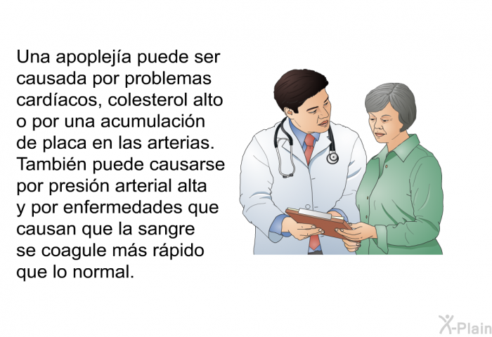 Una apopleja puede ser causada por problemas cardacos, colesterol alto o por una acumulacin de placa en las arterias. Tambin puede causarse por presin arterial alta y por enfermedades que causan que la sangre se coagule ms rpido que lo normal.