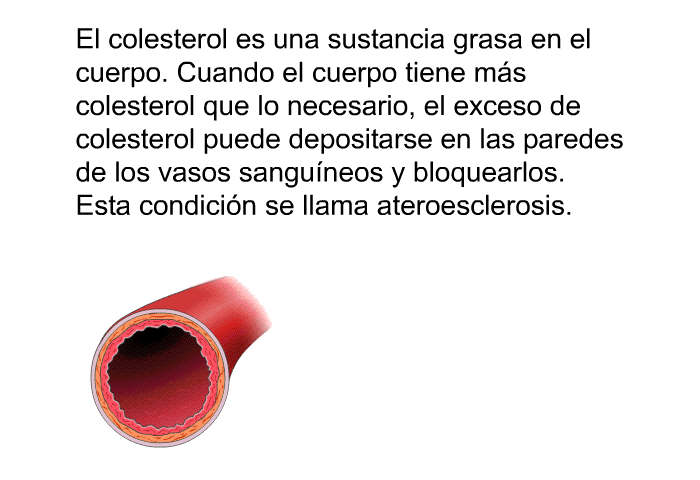 El colesterol es una sustancia grasa en el cuerpo. Cuando el cuerpo tiene ms colesterol que lo necesario, el exceso de colesterol puede depositarse en las paredes de los vasos sanguneos y bloquearlos. Esta condicin se llama ateroesclerosis.