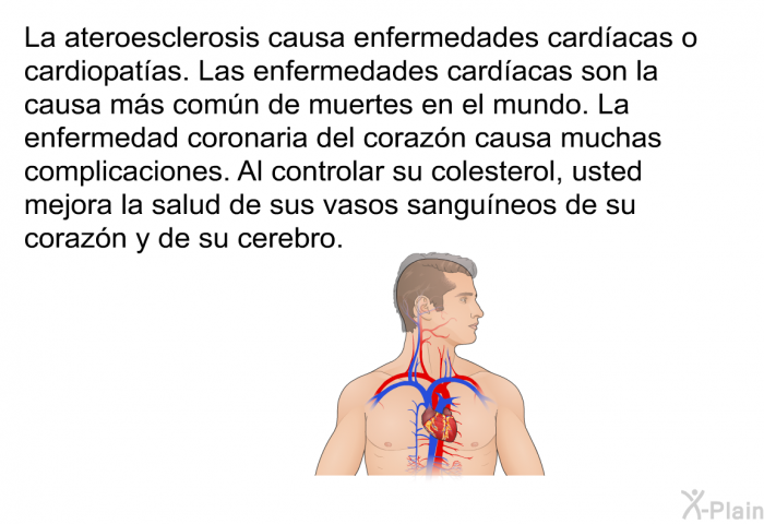 La ateroesclerosis causa enfermedades cardacas o cardiopatas. Las enfermedades cardacas son la causa ms comn de muertes en el mundo. La enfermedad coronaria del corazn causa muchas complicaciones. Al controlar su colesterol, usted mejora la salud de sus vasos sanguneos de su corazn y de su cerebro.