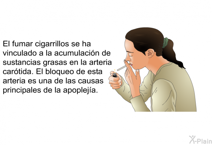 El fumar cigarrillos se ha vinculado a la acumulacin de sustancias grasas en la arteria cartida. El bloqueo de esta arteria es una de las causas principales de la apopleja.