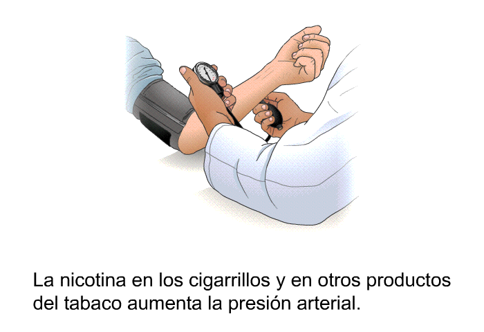 La nicotina en los cigarrillos y en otros productos del tabaco aumenta la presin arterial.