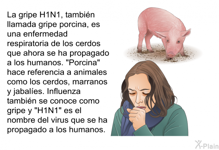 La gripe H1N1, tambin llamada gripe porcina, es una enfermedad respiratoria de los cerdos que ahora se ha propagado a los humanos. "Porcina" hace referencia a animales como los cerdos, marranos y jabales. Influenza tambin se conoce como gripe y "H1N1" es el nombre del virus que se ha propagado a los humanos.