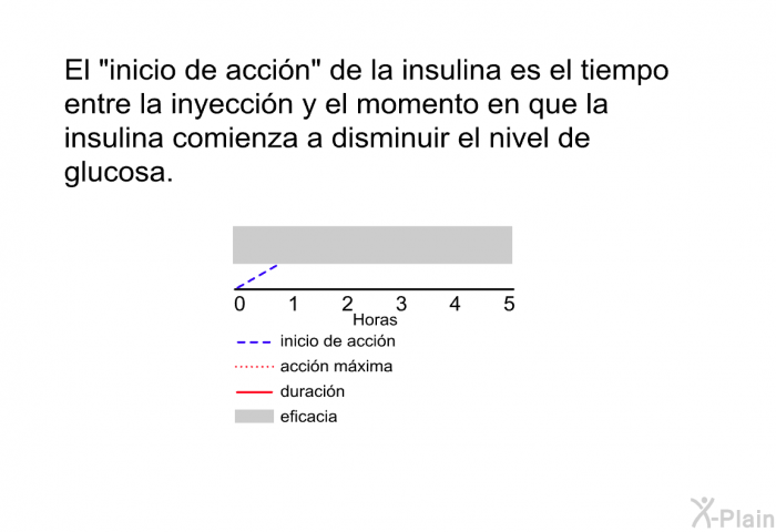 El &ldquo;inicio de acci�n&rdquo; de la insulina es el tiempo entre la inyecci�n y el momento en que la insulina comienza a disminuir el nivel de glucosa.