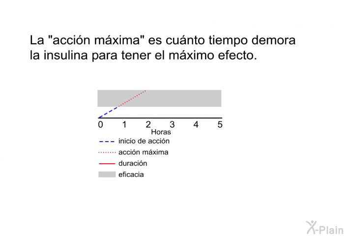La &ldquo;acci�n m�xima&rdquo; es cu�nto tiempo demora la insulina para tener el m�ximo efecto.