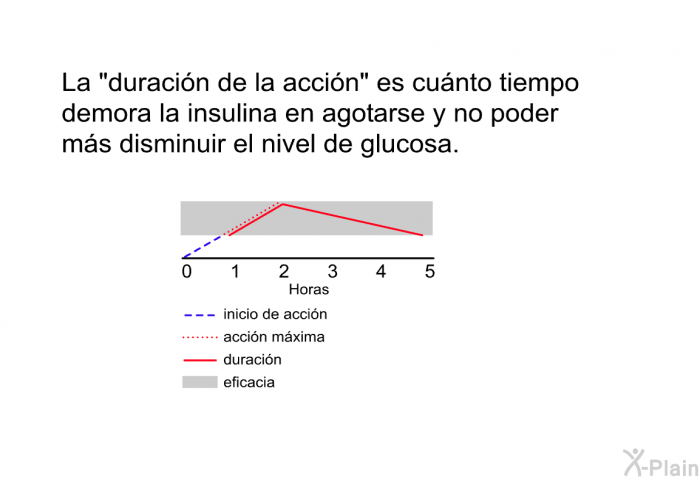 La &ldquo;duraci�n de la acci�n&rdquo; es cu�nto tiempo demora la insulina en agotarse y no poder m�s disminuir el nivel de glucosa.