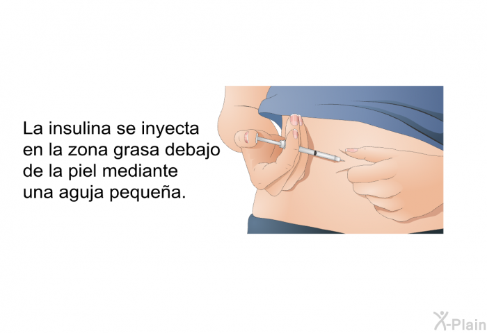 La insulina se inyecta en la zona grasa debajo de la piel mediante una aguja pequea.