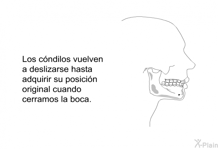 Los cndilos vuelven a deslizarse hasta adquirir su posicin original cuando cerramos la boca.