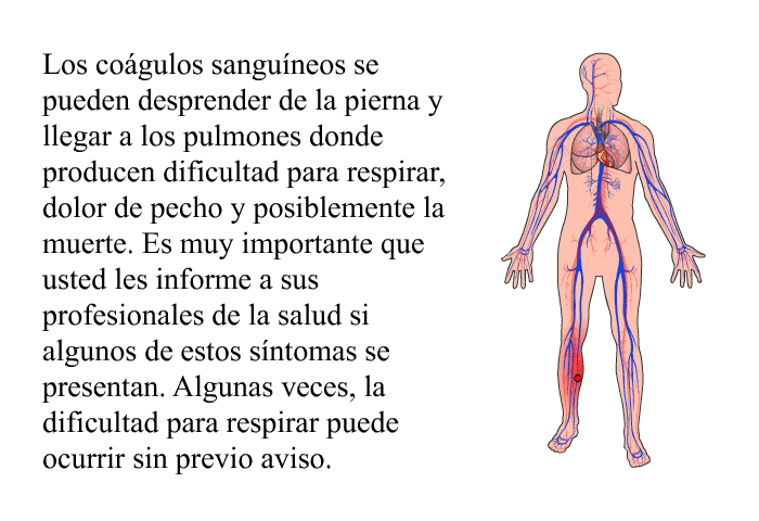 Los cogulos sanguneos se pueden desprender de la pierna y llegar a los pulmones donde producen dificultad para respirar, dolor de pecho y posiblemente la muerte. Es muy importante que usted les informe a sus profesionales de la salud si algunos de estos sntomas se presentan. Algunas veces, la dificultad para respirar puede ocurrir sin previo aviso.
