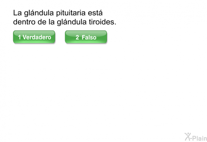 La glndula pituitaria est dentro de la glndula tiroides.