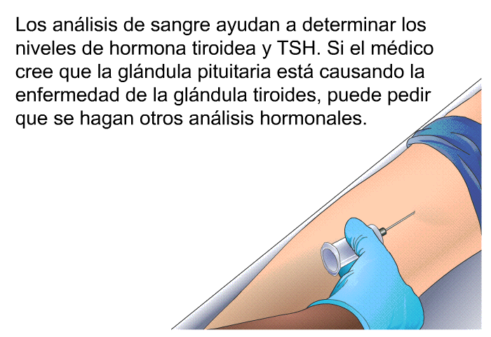 Los an�lisis de sangre ayudan a determinar los niveles de hormona tiroidea y TSH. Si el m�dico cree que la gl�ndula pituitaria est� causando la enfermedad de la gl�ndula tiroides, puede pedir que se hagan otros an�lisis hormonales.