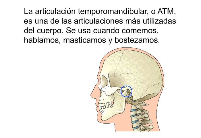 La articulacin temporomandibular, o ATM, es una de las articulaciones ms utilizadas del cuerpo. Se usa cuando comemos, hablamos, masticamos y bostezamos.