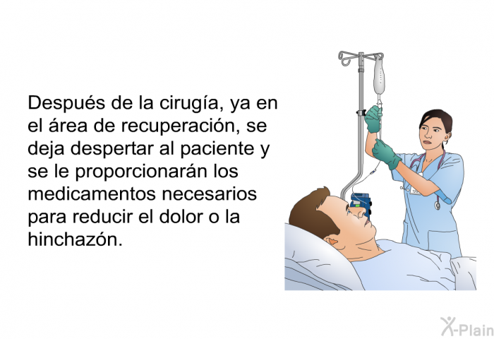 Despus de la ciruga, ya en el rea de recuperacin, se deja despertar al paciente y se le proporcionarn los medicamentos necesarios para reducir el dolor o la hinchazn.