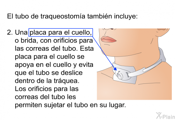 El tubo de traqueostoma tambin incluye:  Una placa para el cuello, o brida, con orificios para las correas del tubo. Esta placa para el cuello se apoya en el cuello y evita que el tubo se deslice dentro de la trquea. Los orificios para las correas del tubo les permiten sujetar el tubo en su lugar.