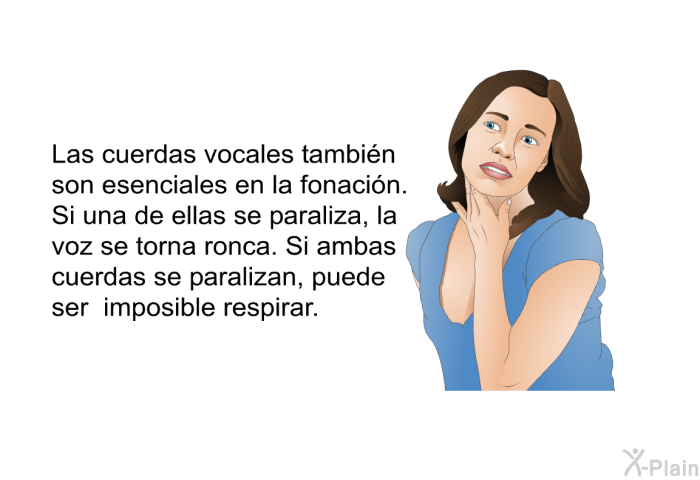 Las cuerdas vocales tambin son esenciales en la fonacin. Si una de ellas se paraliza, la voz se torna ronca. Si ambas cuerdas se paralizan, puede ser imposible respirar.