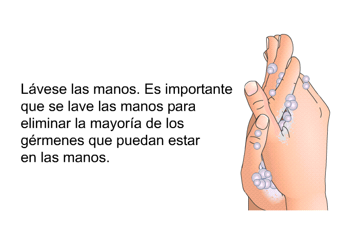 L�vese las manos. Es importante que se lave las manos para eliminar la mayor�a de los g�rmenes que puedan estar en las manos.