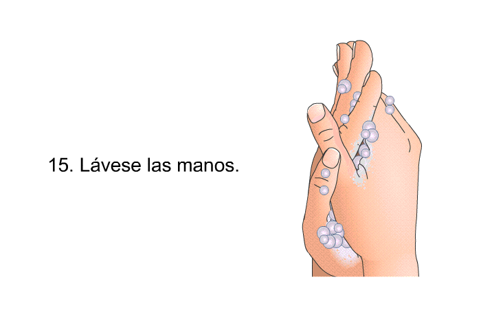 <OL START=15> L�vese las manos.