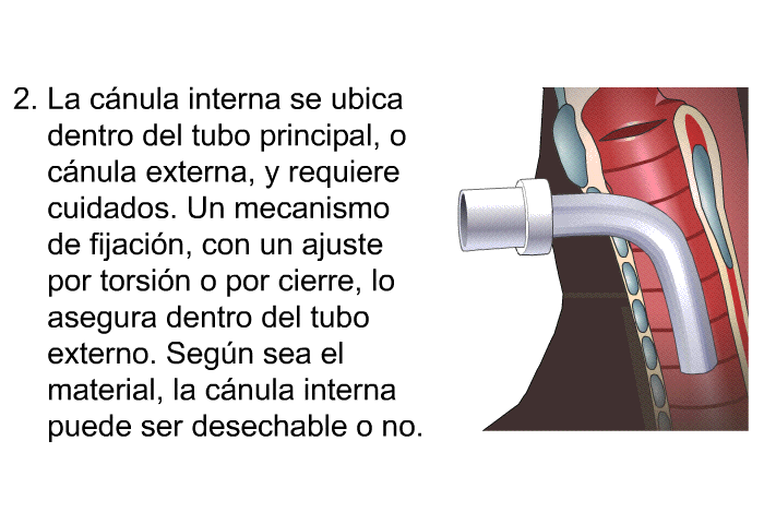 La c�nula interna se ubica dentro del tubo principal, o c�nula externa, y requiere cuidados. Un mecanismo de fijaci�n, con un ajuste por torsi�n o por cierre, lo asegura dentro del tubo externo. Seg�n sea el material, la c�nula interna puede ser desechable o no.