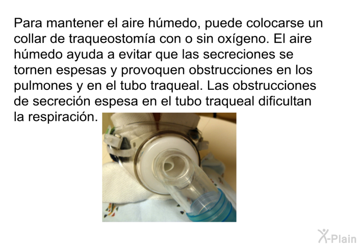 Para mantener el aire hmedo, puede colocarse un collar de traqueostoma con o sin oxgeno. El aire hmedo ayuda a evitar que las secreciones se tornen espesas y provoquen obstrucciones en los pulmones y en el tubo traqueal. Las obstrucciones de secrecin espesa en el tubo traqueal dificultan la respiracin.