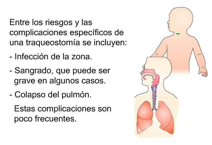 Entre los riesgos y las complicaciones especficos de una traqueostoma se incluyen:  Infeccin de la zona. Sangrado, que puede ser grave en algunos casos. Colapso del pulmn.  
Estas complicaciones son poco frecuentes.