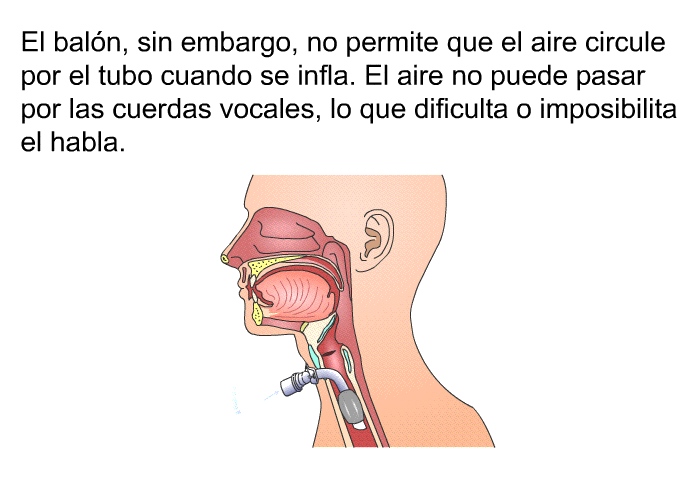 El baln, sin embargo, no permite que el aire circule por el tubo cuando se infla. El aire no puede pasar por las cuerdas vocales, lo que dificulta o imposibilita el habla.