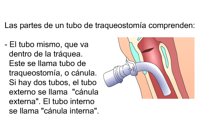 Las partes de un tubo de traqueostoma comprenden:  El tubo mismo, que va dentro de la trquea. Este se llama tubo de traqueostoma, o cnula. Si hay dos tubos, el tubo externo se llama “cnula externa”. El tubo interno se llama “cnula interna”.