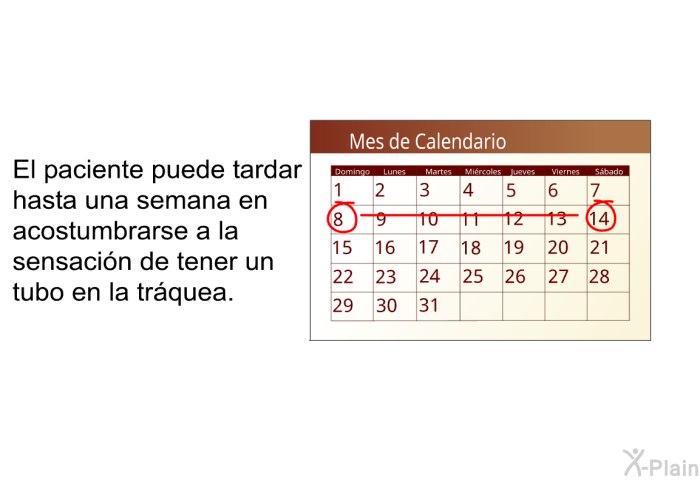 El paciente puede tardar hasta una semana en acostumbrarse a la sensacin de tener un tubo en la trquea.