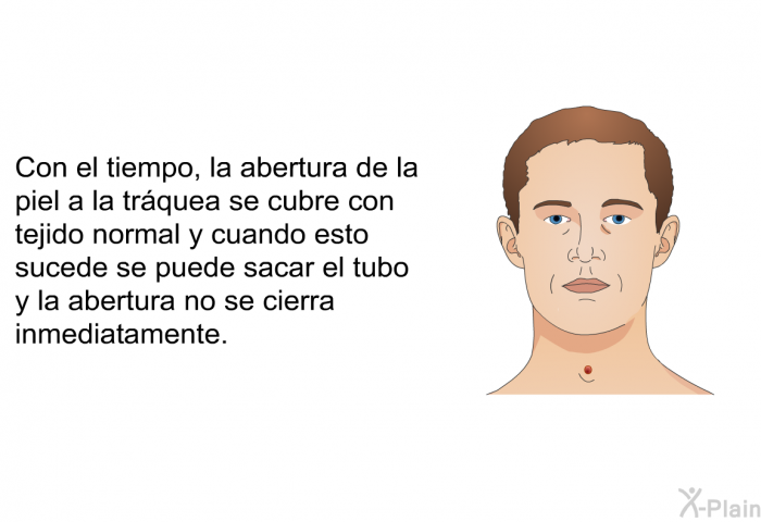 Con el tiempo, la abertura de la piel a la tr�quea se cubre con tejido normal y cuando esto sucede se puede sacar el tubo y la abertura no se cierra inmediatamente.