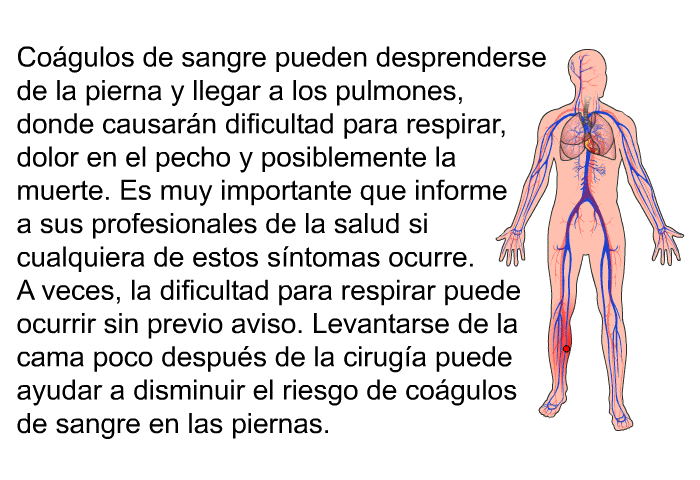 Cogulos de sangre pueden desprenderse de la pierna y llegar a los pulmones, donde causarn dificultad para respirar, dolor en el pecho y posiblemente la muerte. Es muy importante que informe a sus profesionales de la salud si cualquiera de estos sntomas ocurre. A veces, la dificultad para respirar puede ocurrir sin previo aviso. Levantarse de la cama poco despus de la ciruga puede ayudar a disminuir el riesgo de cogulos de sangre en las piernas.