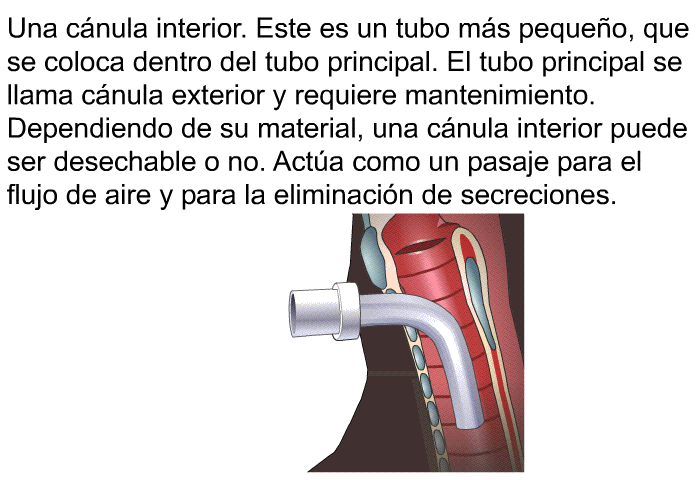 Una cnula interior. Este es un tubo ms pequeo, que se coloca dentro del tubo principal. El tubo principal se llama cnula exterior y requiere mantenimiento. Dependiendo de su material, una cnula interior puede ser desechable o no. Acta como un pasaje para el flujo de aire y para la eliminacin de secreciones.