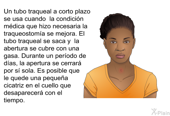 Un tubo traqueal a corto plazo se usa cuando la condicin mdica que hizo necesaria la traqueostoma se mejora. El tubo traqueal se saca y la abertura se cubre con una gasa. Durante un perodo de das, la apertura se cerrar por s sola. Es posible que le quede una pequea cicatriz en el cuello que desaparecer con el tiempo.