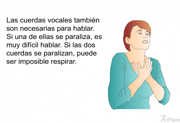 Las cuerdas vocales tambin son necesarias para hablar. Si una de ellas se paraliza, es muy difcil hablar. Si las dos cuerdas se paralizan, puede ser imposible respirar.