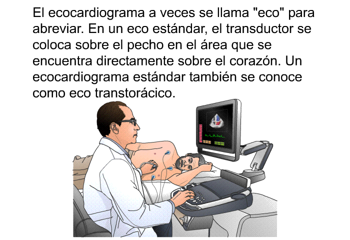 El ecocardiograma a veces se llama "eco" para abreviar. En un eco estndar, el transductor se coloca sobre el pecho en el rea que se encuentra directamente sobre el corazn. Un ecocardiograma estndar tambin se conoce como eco transtorcico.