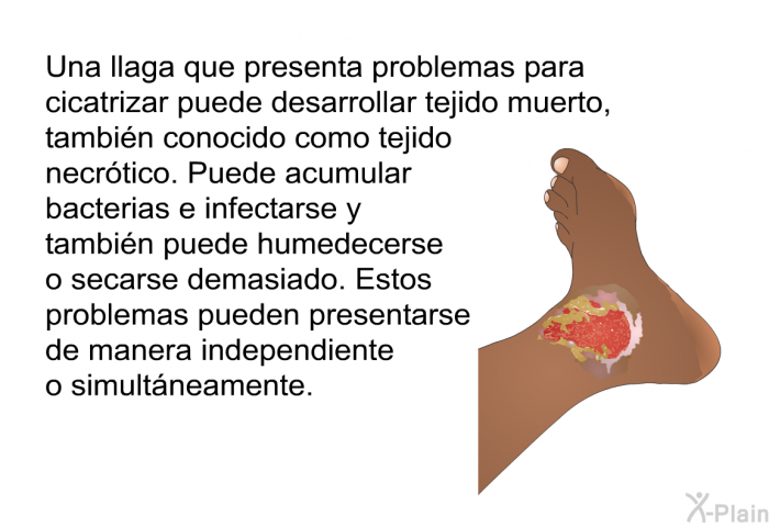 Una llaga que presenta problemas para cicatrizar puede desarrollar tejido muerto, tambin conocido como tejido necrtico. Puede acumular bacterias e infectarse y tambin puede humedecerse o secarse demasiado. Estos problemas pueden presentarse de manera independiente o simultneamente.