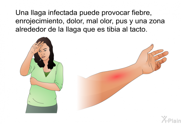 Una llaga infectada puede provocar fiebre, enrojecimiento, dolor, mal olor, pus y una zona alrededor de la llaga que es tibia al tacto.