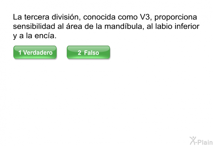 La tercera divisin, conocida como V3, proporciona sensibilidad al rea de la mandbula, al labio inferior y a la enca.