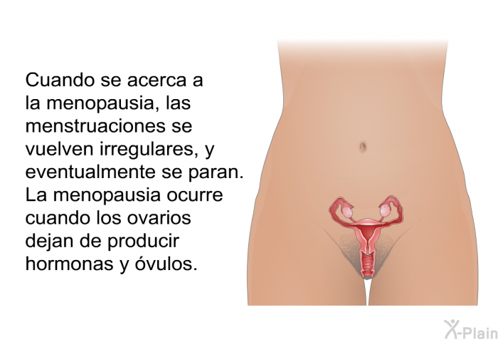 Cuando se acerca a la menopausia, las menstruaciones se vuelven irregulares, y eventualmente se paran. La menopausia ocurre cuando los ovarios dejan de producir hormonas y vulos.