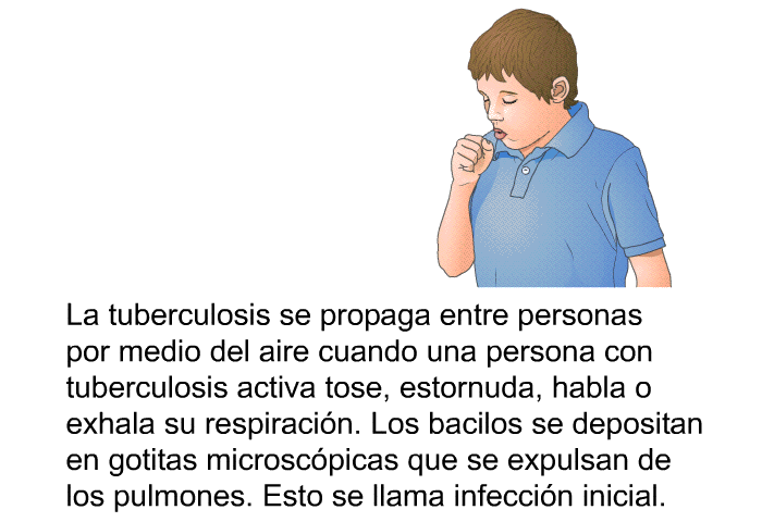 La tuberculosis se propaga entre personas por medio del aire cuando una persona con tuberculosis activa tose, estornuda, habla o exhala su respiracin. Los bacilos se depositan en gotitas microscpicas que se expulsan de los pulmones. Esto se llama infeccin inicial.