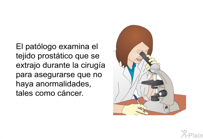 El patlogo examina el tejido prosttico que se extrajo durante la ciruga para asegurarse que no haya anormalidades, tales como cncer.