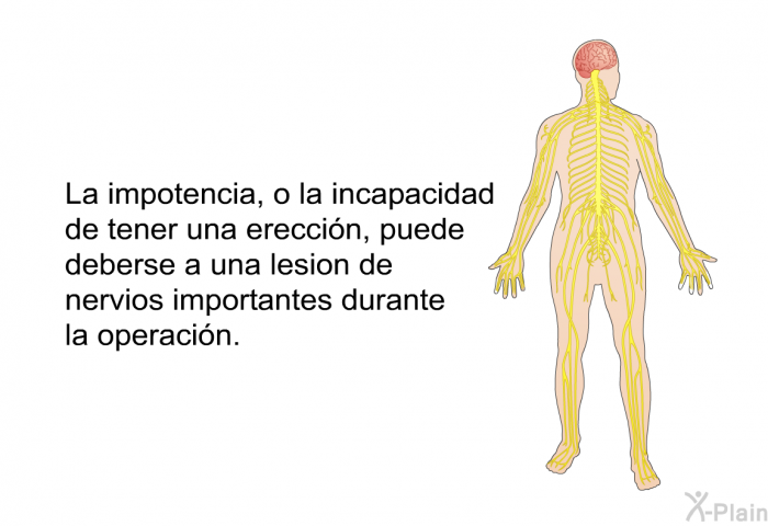 La impotencia, o la incapacidad de tener una erecci�n, puede deberse a una lesi�n de nervios importantes durante la operaci�n.