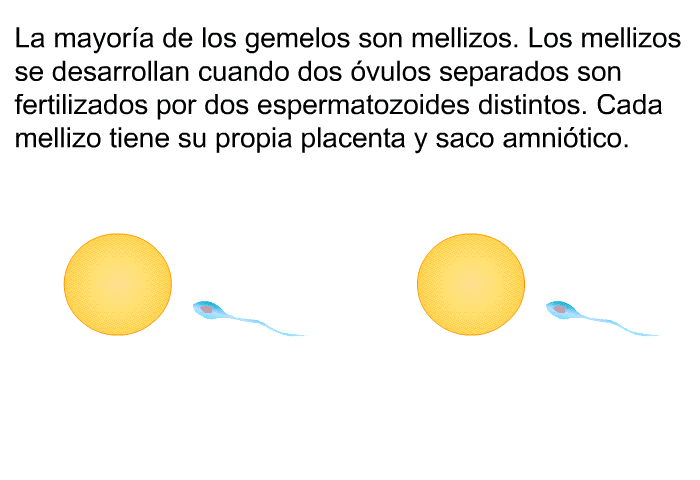 La mayora de los gemelos son mellizos. Los mellizos se desarrollan cuando dos vulos separados son fertilizados por dos espermatozoides distintos. Cada mellizo tiene su propia placenta y saco amnitico.