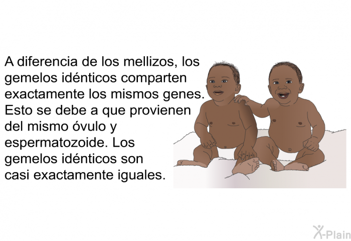 A diferencia de los mellizos, los gemelos idnticos comparten exactamente los mismos genes. Esto se debe a que provienen del mismo vulo y espermatozoide. Los gemelos idnticos son casi exactamente iguales.