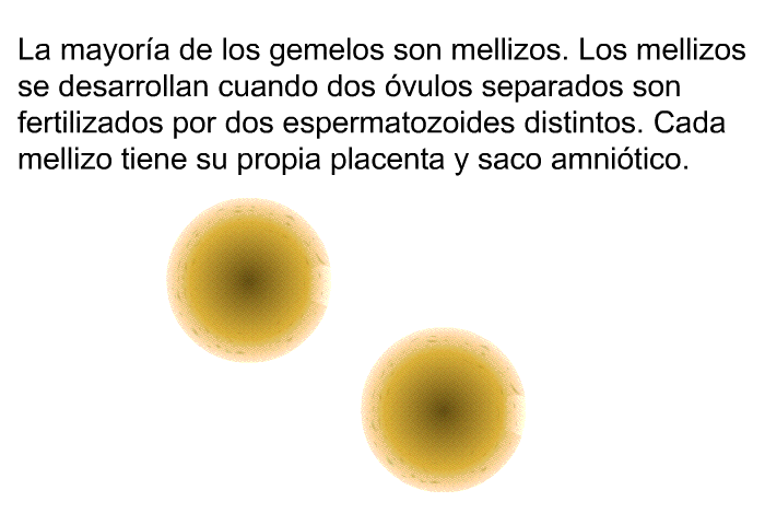 La mayora de los gemelos son mellizos. Los mellizos se desarrollan cuando dos vulos separados son fertilizados por dos espermatozoides distintos. Cada mellizo tiene su propia placenta y saco amnitico.
