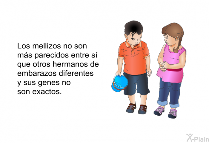 Los mellizos no son ms parecidos entre s que otros hermanos de embarazos diferentes y sus genes no son exactos.
