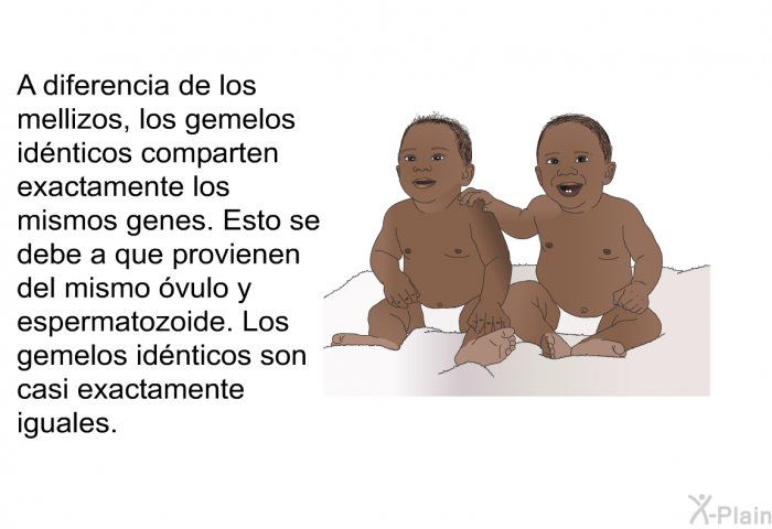A diferencia de los mellizos, los gemelos idnticos comparten exactamente los mismos genes. Esto se debe a que provienen del mismo vulo y espermatozoide. Los gemelos idnticos son casi exactamente iguales.