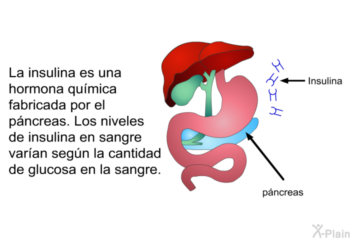 La insulina es una hormona qumica fabricada por el pncreas. Los niveles de insulina en sangre varan segn la cantidad de glucosa en la sangre.