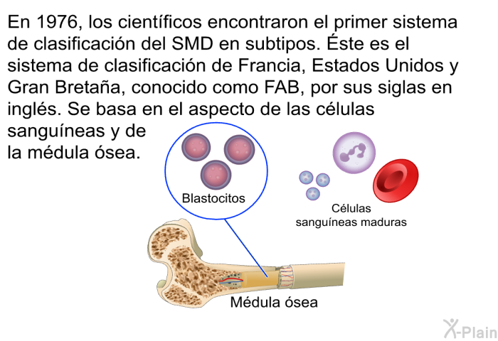 En 1976, los cientficos encontraron el primer sistema de clasificacin del SMD en subtipos. Éste es el sistema de clasificacin de Francia, Estados Unidos y Gran Bretaa, conocido como FAB, por sus siglas en ingls. Se basa en el aspecto de las clulas sanguneas y de la mdula sea.